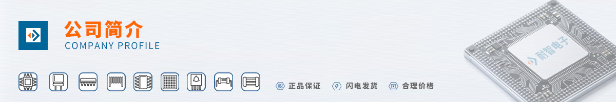 ICPlus��˾����