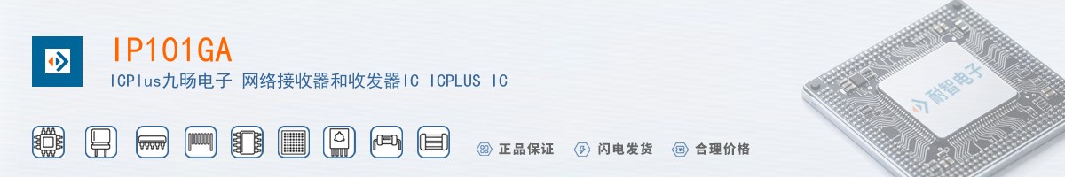 IP101GA������