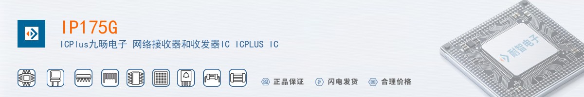 IP175G������