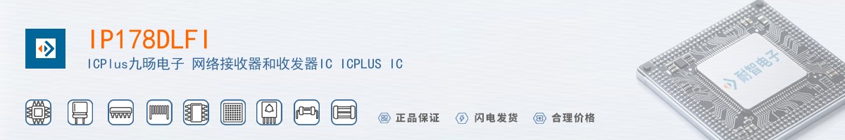 IP178DLFI������